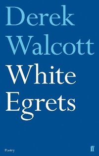 bokomslag White Egrets