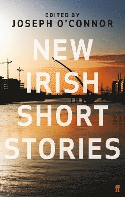 bokomslag New Irish Short Stories