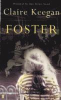 bokomslag Foster