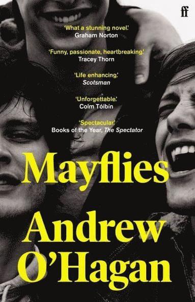 bokomslag Mayflies