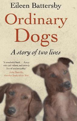 Ordinary Dogs 1