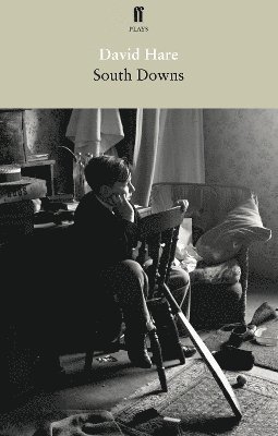 David Hare - South Downs and Mere Fact, Mere Fiction, Häftad