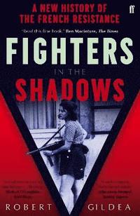 bokomslag Fighters in the Shadows