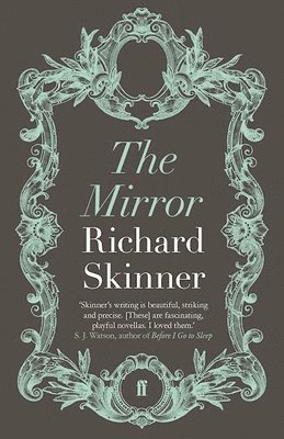 Richard Skinner - Mirror, Häftad