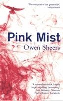 bokomslag Pink Mist