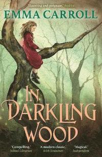 bokomslag In Darkling Wood