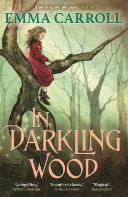 bokomslag In Darkling Wood