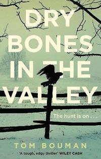 bokomslag Dry Bones in the Valley