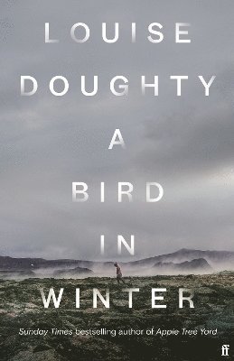 Bird in Winter