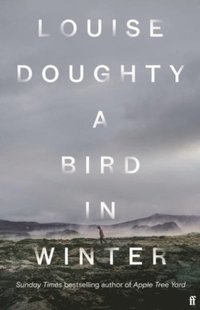 bokomslag A Bird in Winter (Export Edition)