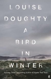 bokomslag Bird In Winter (Export Edition)