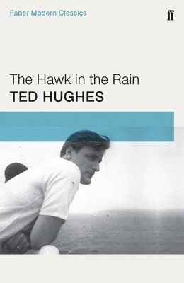 Ted Hughes - Hawk in the Rain, Häftad
