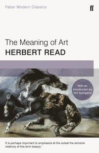 bokomslag Meaning of art - faber modern classics