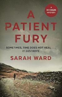 bokomslag A Patient Fury