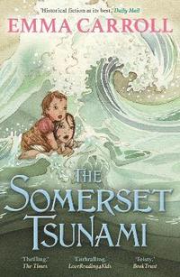 bokomslag The Somerset Tsunami