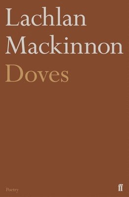 Lachlan Mackinnon - Doves, Häftad