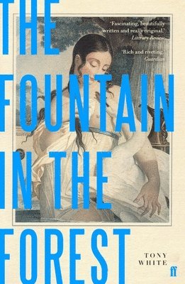Tony White - Fountain in the Forest, Häftad