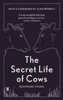 bokomslag The Secret Life of Cows