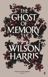 bokomslag The Ghost of Memory