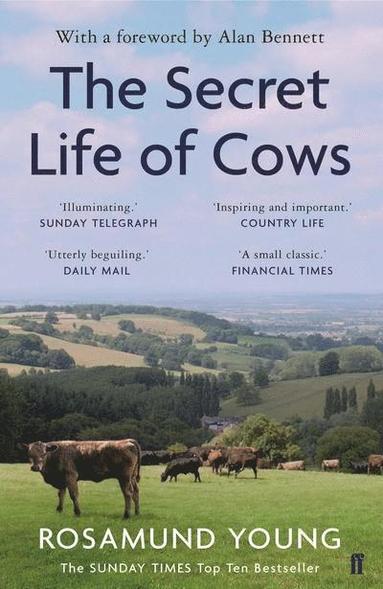 bokomslag Secret Life of Cows