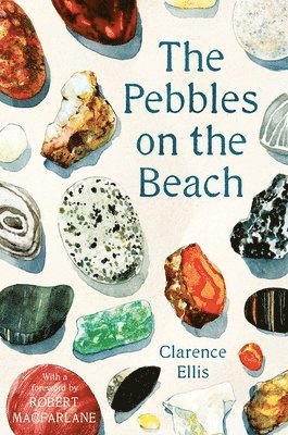 Clarence Ellis - Pebbles on the Beach, Häftad