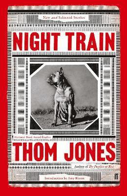 bokomslag Night Train