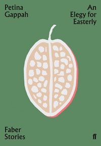 bokomslag Elegy for Easterly
