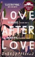 bokomslag Love After Love