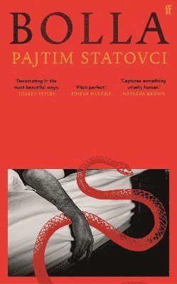 Pajtim Statovci - Bolla, Inbunden