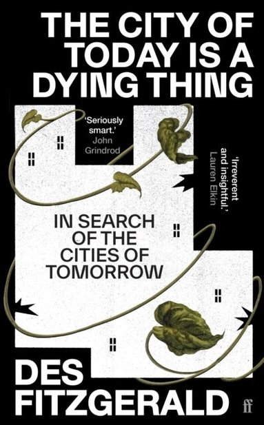 Des Fitzgerald - City of Today is a Dying Thing, Inbunden