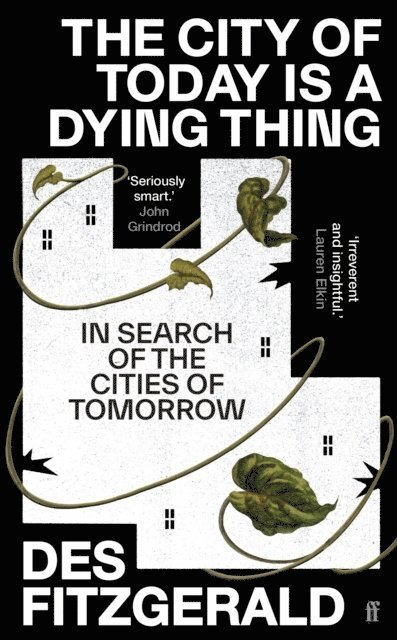Des Fitzgerald - City of Today is a Dying Thing, Inbunden