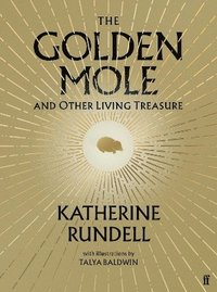 bokomslag The Golden Mole