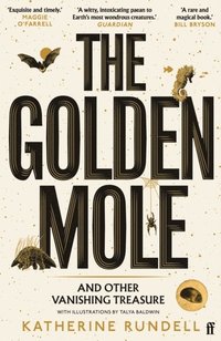 bokomslag The Golden Mole