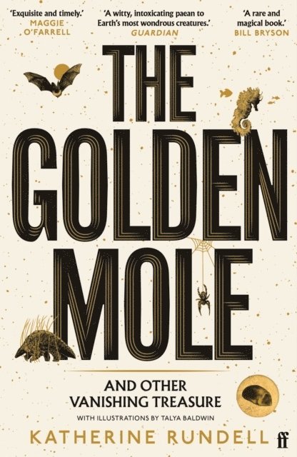 The Golden Mole 1