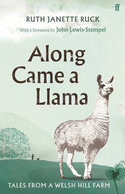 Along Came a Llama 1