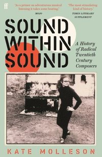 bokomslag Sound Within Sound