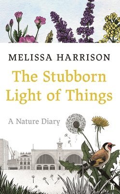 The Stubborn Light of Things 1