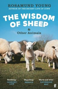 bokomslag The Wisdom of Sheep & Other Animals