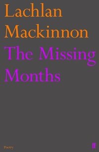 bokomslag The Missing Months