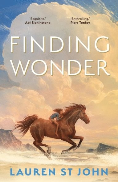 bokomslag Finding Wonder