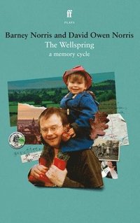 bokomslag Wellspring