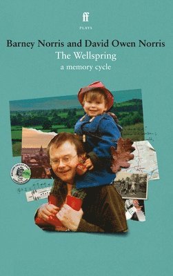 bokomslag Wellspring