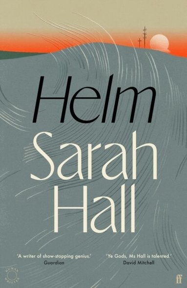 Sarah Hall - Helm, Häftad