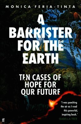 Monica Feria-Tinta - Barrister for the Earth, Inbunden