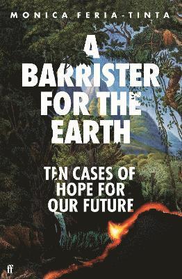 bokomslag A Barrister for the Earth