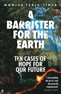 bokomslag Barrister for the Earth