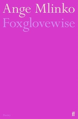 Foxglovewise 1