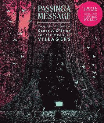 bokomslag Passing a Message (Deluxe Edition): The Lyrics and Artwork of Conor J. O'Brien, for the Music of Villagers, Comb Bound Book