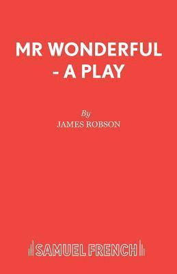 bokomslag Mr Wonderful