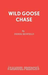 bokomslag Wild Goose Chase